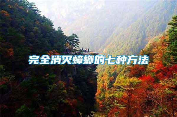 完全消滅蟑螂的七種方法
