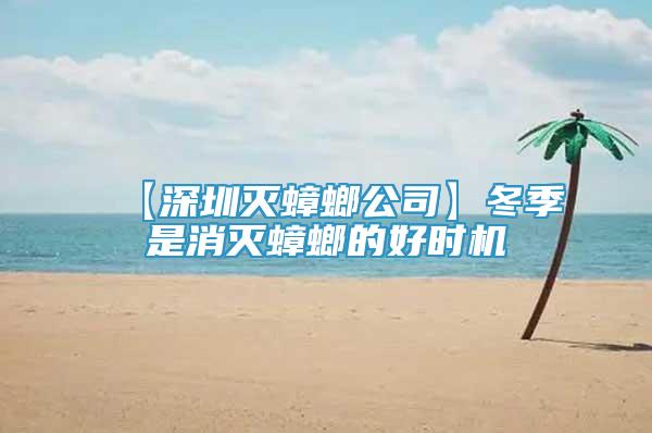 【深圳滅蟑螂公司】冬季是消滅蟑螂的好時(shí)機(jī)