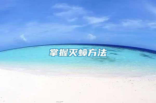 掌握滅蟑方法