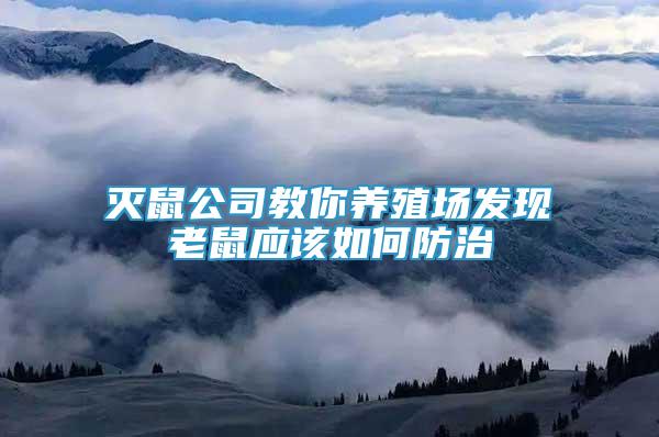 滅鼠公司教你養(yǎng)殖場發(fā)現(xiàn)老鼠應(yīng)該如何防治