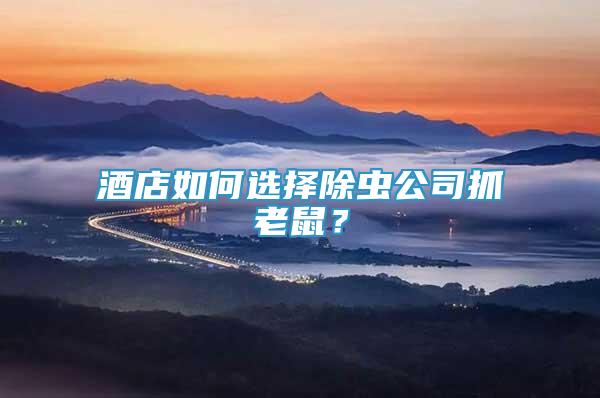 酒店如何選擇除蟲公司抓老鼠？