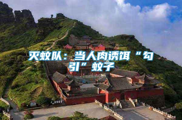 滅蚊隊：當(dāng)人肉誘餌“勾引”蚊子