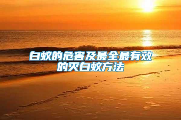白蟻的危害及最全最有效的滅白蟻方法