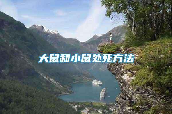 大鼠和小鼠處死方法