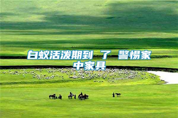 白蟻活潑期到 了 警惕家中家具