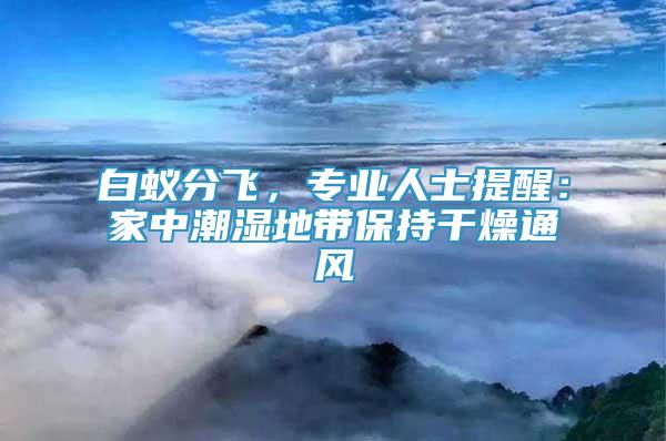 白蟻分飛，專業(yè)人士提醒：家中潮濕地帶保持干燥通風