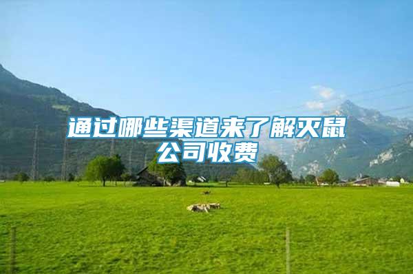 通過哪些渠道來了解滅鼠公司收費(fèi)