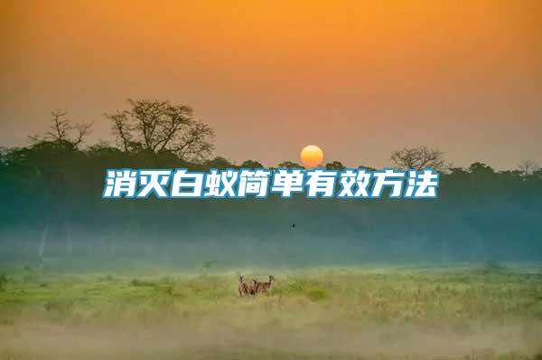 消滅白蟻簡單有效方法