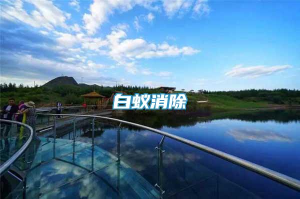 白蟻消除