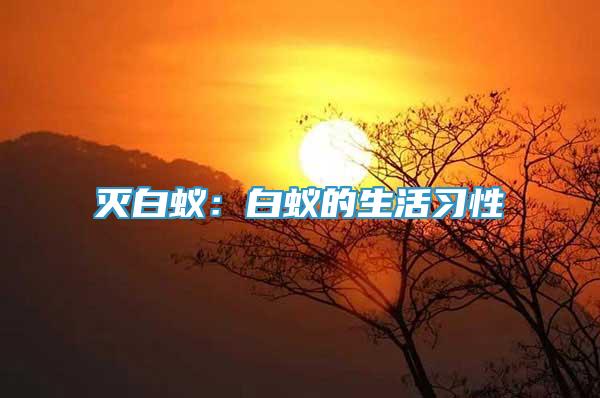 滅白蟻：白蟻的生活習性