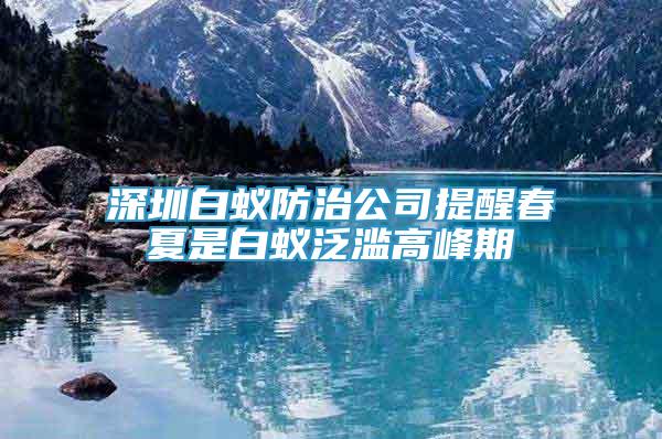 深圳白蟻防治公司提醒春夏是白蟻泛濫高峰期