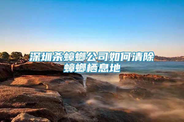 深圳殺蟑螂公司如何清除蟑螂棲息地
