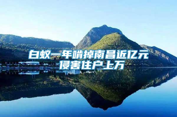 白蟻一年啃掉南昌近億元 侵害住戶上萬(wàn)