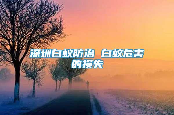 深圳白蟻防治 白蟻危害的損失