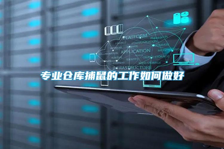 專業(yè)倉(cāng)庫捕鼠的工作如何做好