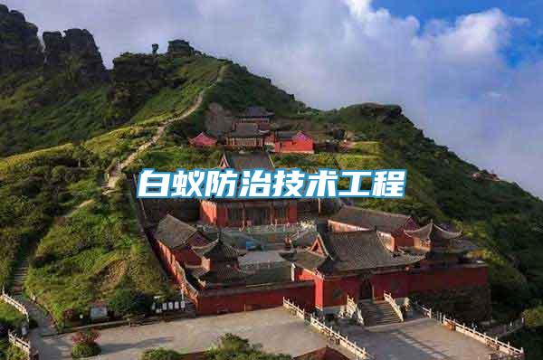 白蟻防治技術(shù)工程