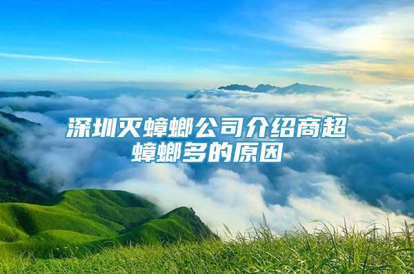 深圳滅蟑螂公司介紹商超蟑螂多的原因