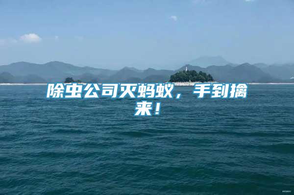 除蟲(chóng)公司滅螞蟻，手到擒來(lái)！