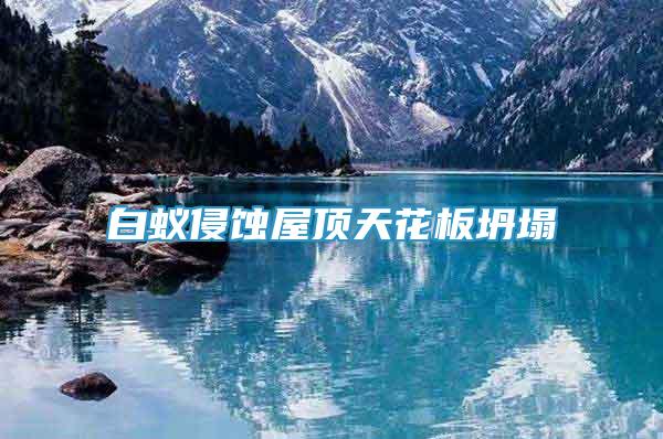 白蟻侵蝕屋頂天花板坍塌