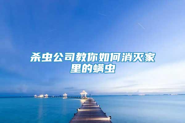 殺蟲公司教你如何消滅家里的螨蟲