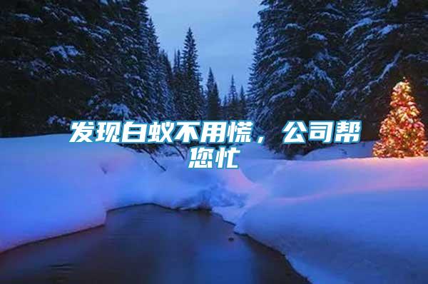 發(fā)現(xiàn)白蟻不用慌，公司幫您忙