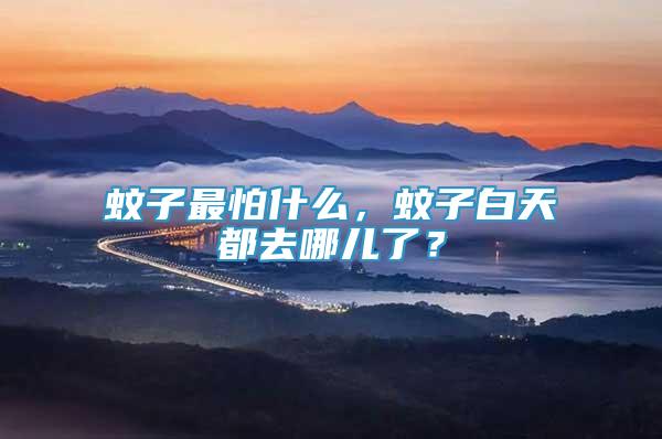 蚊子最怕什么，蚊子白天都去哪兒了？