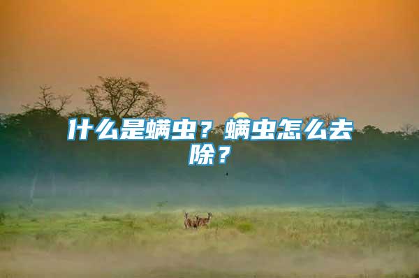 什么是螨蟲？螨蟲怎么去除？