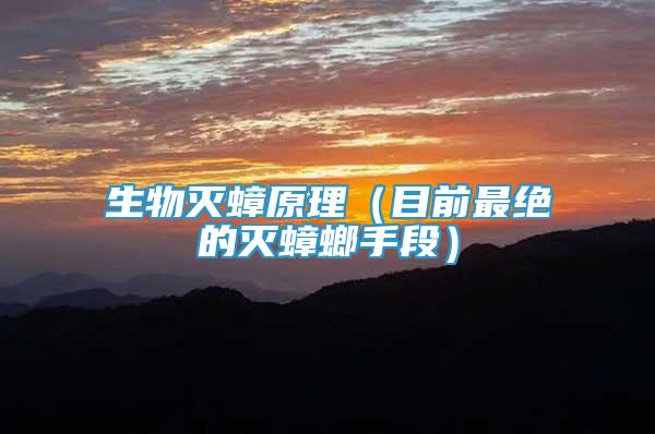 生物滅蟑原理（目前最絕的滅蟑螂手段）