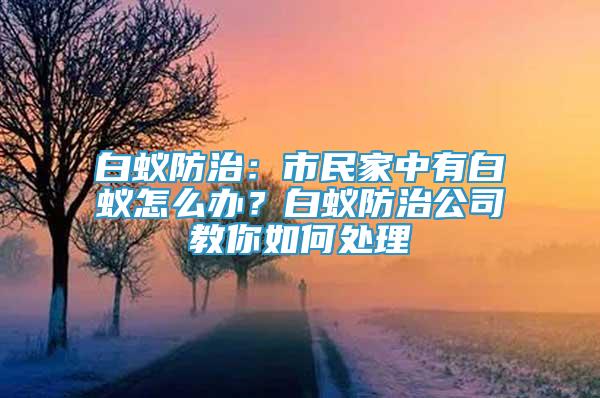 白蟻防治：市民家中有白蟻怎么辦？白蟻防治公司教你如何處理
