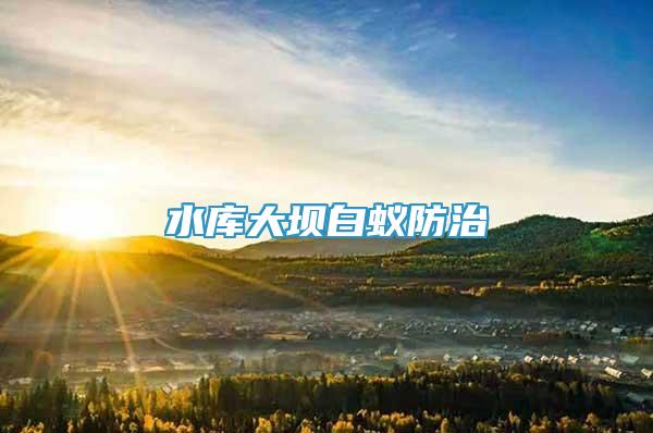 水庫(kù)大壩白蟻防治