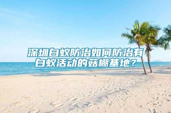 深圳白蟻防治如何防治有白蟻活動的菇棚基地？
