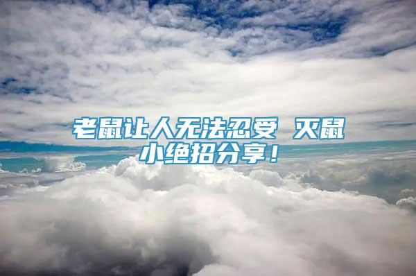 老鼠讓人無(wú)法忍受 滅鼠小絕招分享！