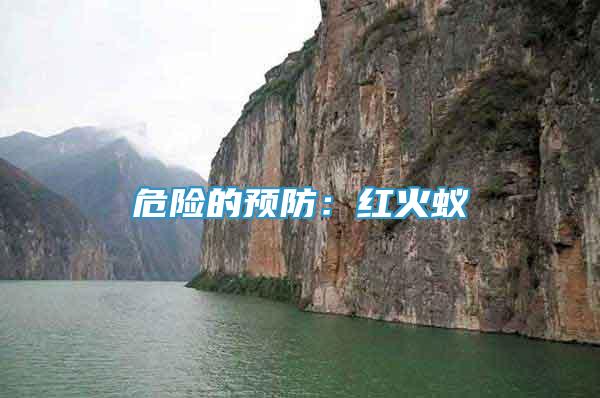 危險的預(yù)防：紅火蟻