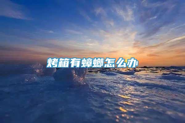 烤箱有蟑螂怎么辦