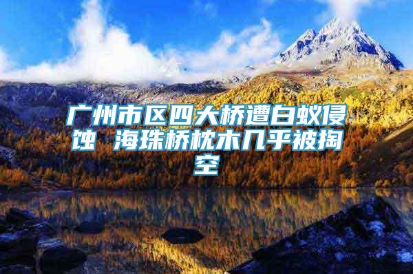 廣州市區(qū)四大橋遭白蟻侵蝕 海珠橋枕木幾乎被掏空