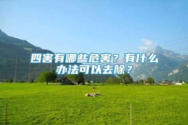 四害有哪些危害？有什么辦法可以去除？