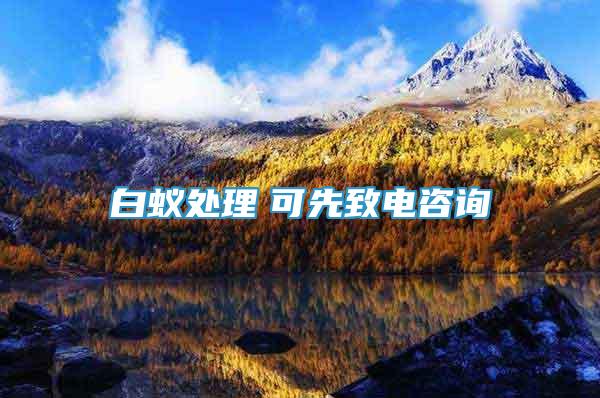 白蟻處理　可先致電咨詢