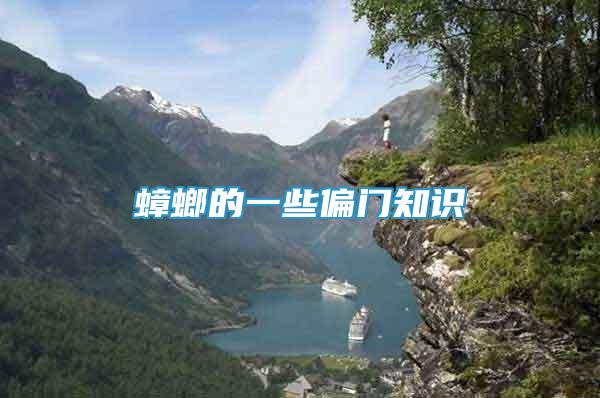 蟑螂的一些偏門知識