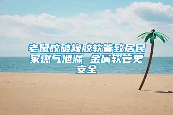 老鼠咬破橡膠軟管致居民家燃?xì)庑孤?金屬軟管更安全