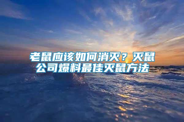 老鼠應(yīng)該如何消滅？滅鼠公司爆料最佳滅鼠方法