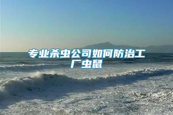專業(yè)殺蟲公司如何防治工廠蟲鼠
