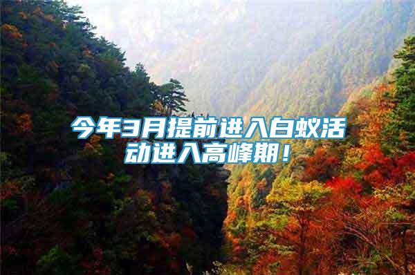 今年3月提前進入白蟻活動進入高峰期！