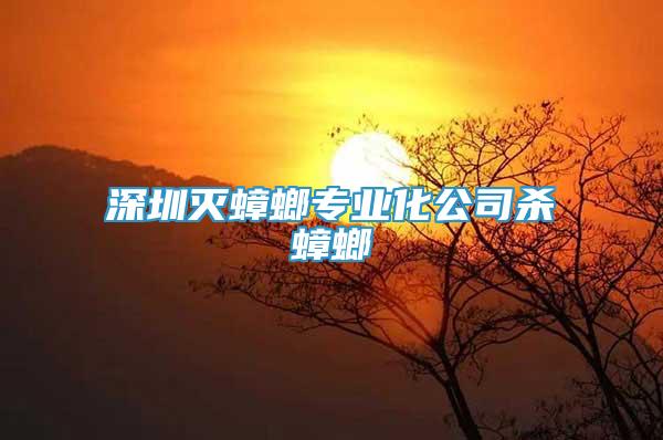 深圳滅蟑螂專業(yè)化公司殺蟑螂