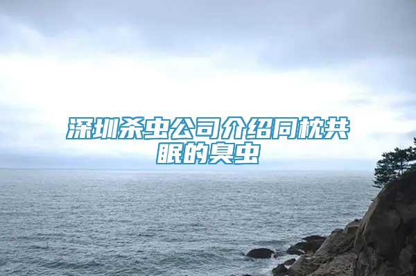 深圳殺蟲公司介紹同枕共眠的臭蟲