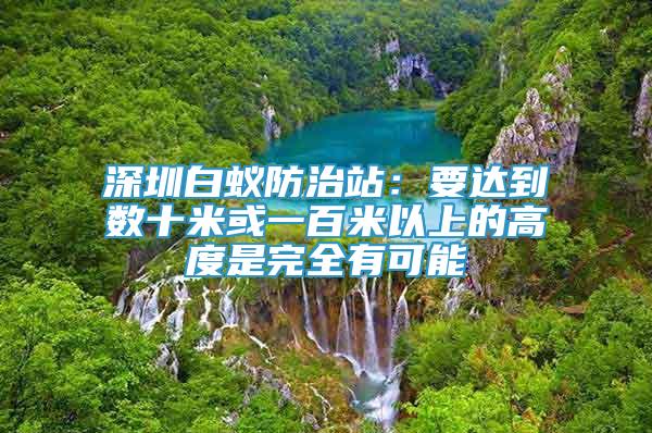 深圳白蟻防治站：要達到數(shù)十米或一百米以上的高度是完全有可能