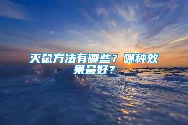 滅鼠方法有哪些？哪種效果最好？