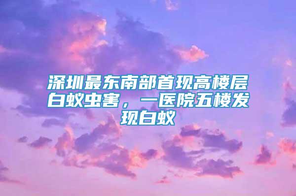 深圳最東南部首現(xiàn)高樓層白蟻蟲害，一醫(yī)院五樓發(fā)現(xiàn)白蟻