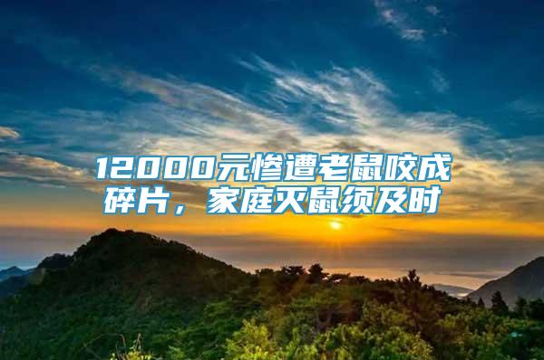 12000元慘遭老鼠咬成碎片，家庭滅鼠須及時(shí)