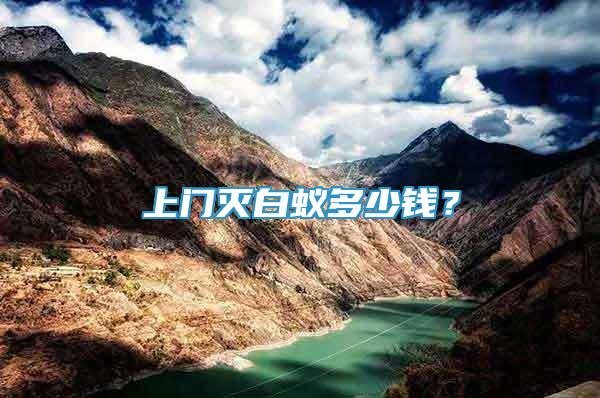 上門滅白蟻多少錢？