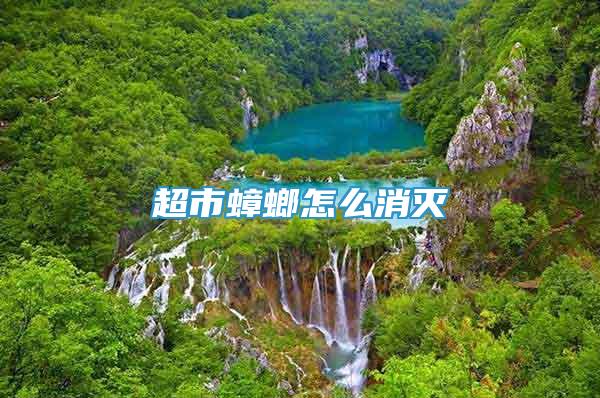 超市蟑螂怎么消滅